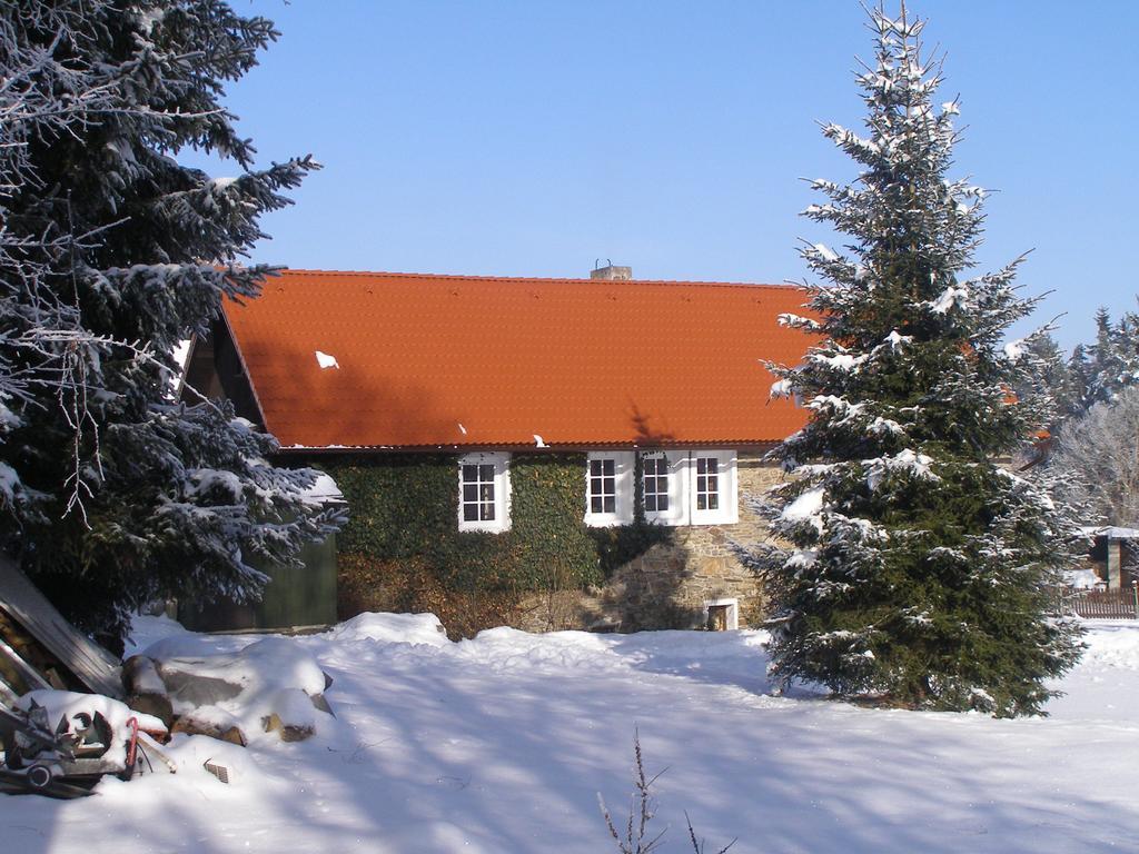 Apartman Dvorecna Loucovice Room photo