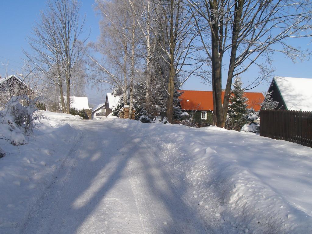 Apartman Dvorecna Loucovice Exterior photo